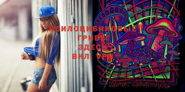 спиды Алзамай